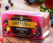 川寧野莓果香紅茶進口茶葉獨立茶包袋泡茶25袋